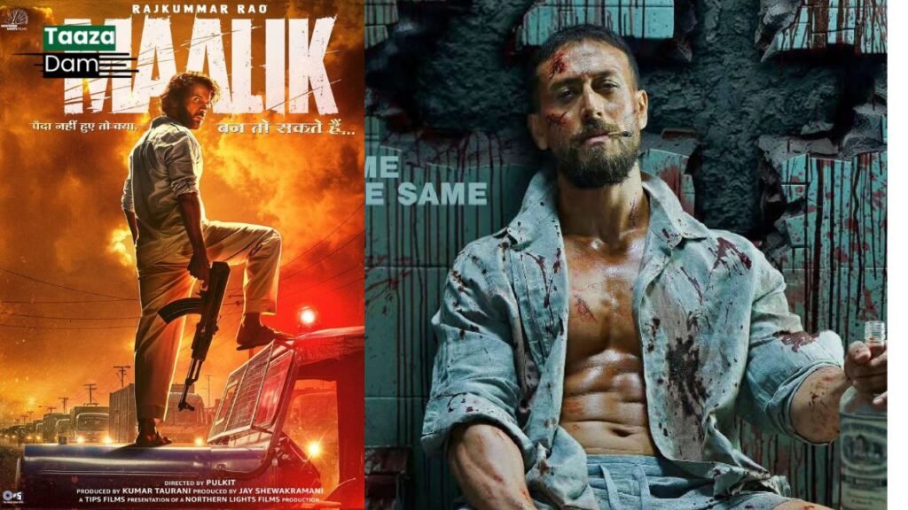 Pakistan Temporarily Bans Indian Films During Eid al-Azha 2 Pakistan Temporarily Bans Indian Films During Eid al-Azha