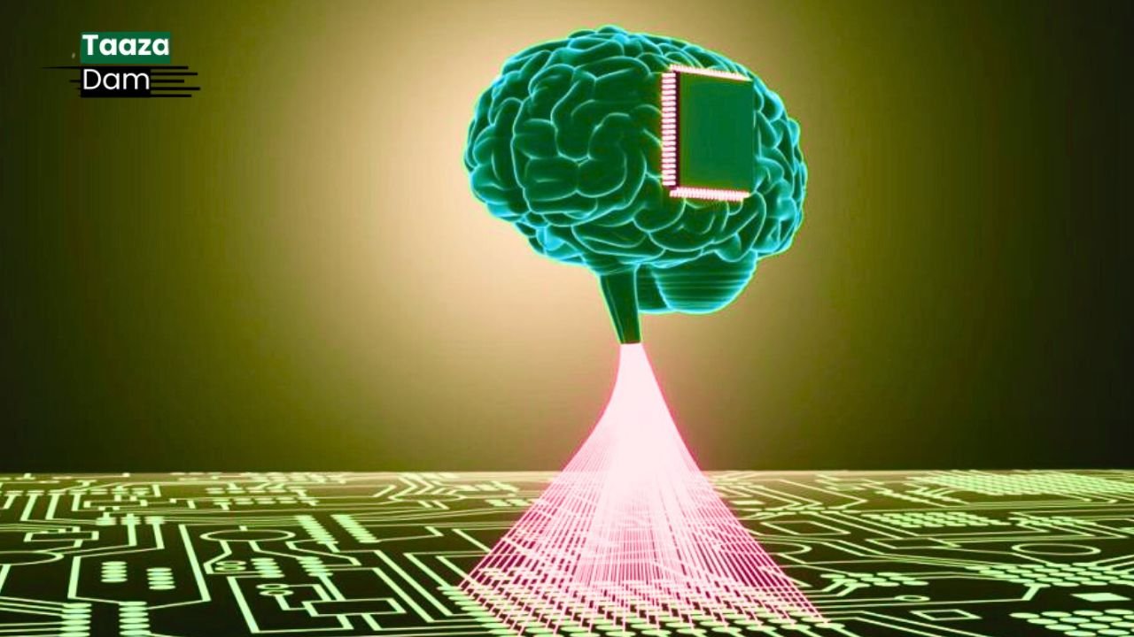 Biological Computer