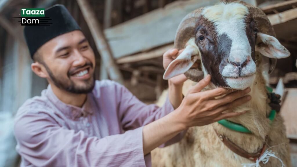 Eid-Al-Adha 2025 Celebrations Begin with Spirit and Joy Across Pakistan 2 Eid-Al-Adha