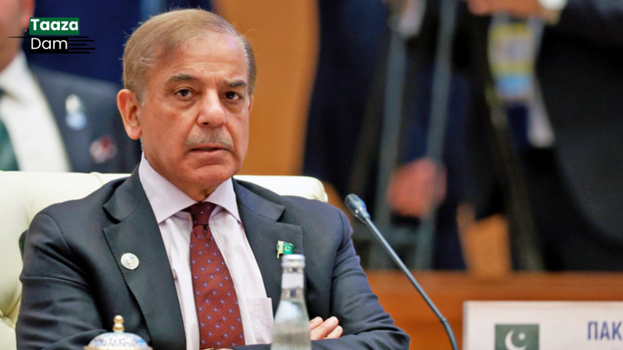 Major Shift in Economic Policy: PM Shehbaz Sharif’s Key Statement 2025 1 PM Shahbaz Sharif Big Statement