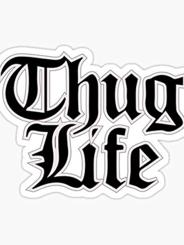 Thug Life Moments That Deserve Respect 😎